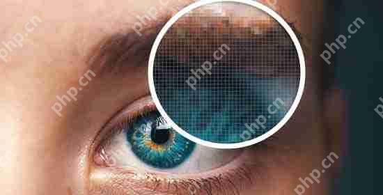 如何在 WordPress 中添加 SVG 图像文件（3 个简单解决方案）