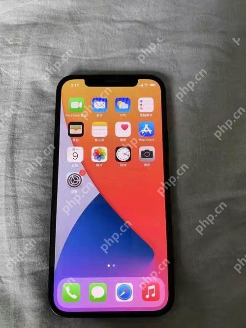 苹果手机怎么看充电次数 苹果手机充电次数怎么看教程插图 苹果手机怎么看充电次数 苹果手机充电次数怎么看教程