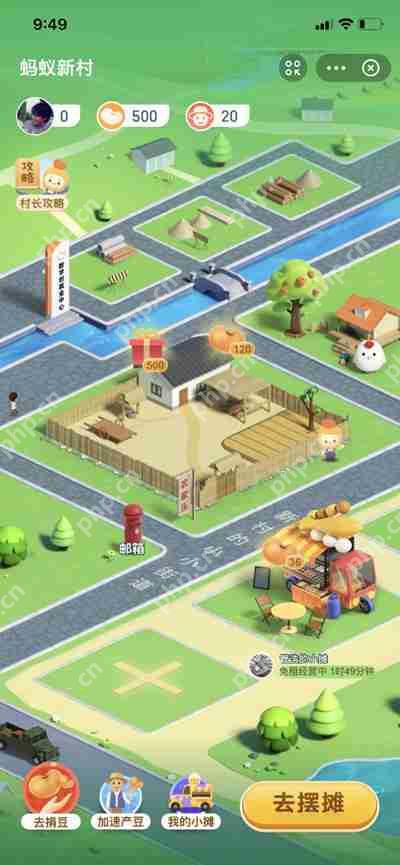 栽植晚秋黄梨初次挂果是在