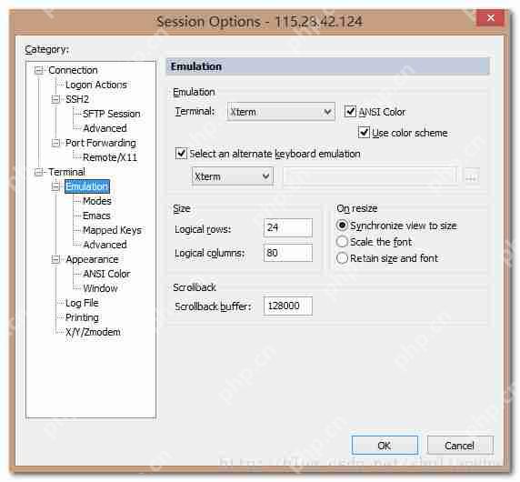 【Linux 操作系统】 Secure CRT 终端配置 -- 配置语法高亮 光标 和 字体