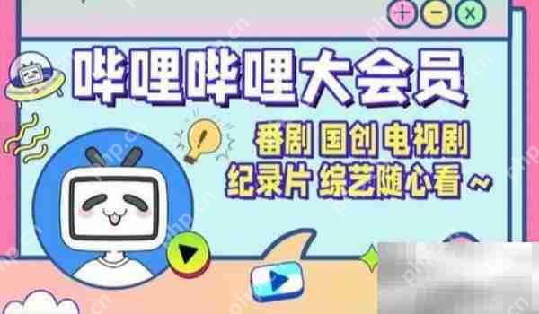 哔哩哔哩大会员作用介绍