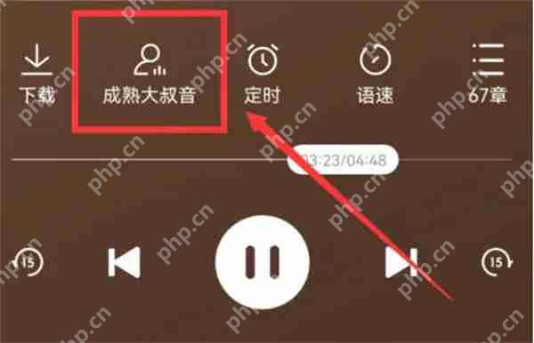 番茄畅听怎么切换播放声音