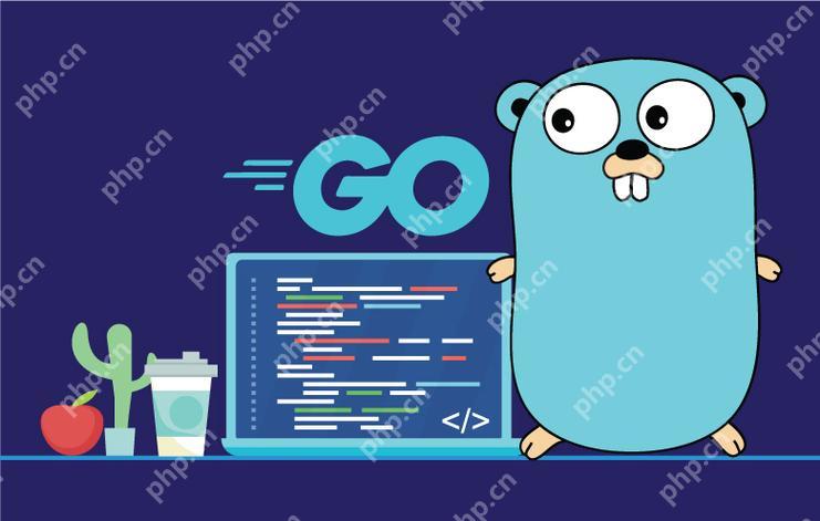 深入分析 Go 语言反射机制及其使用中的性能问题