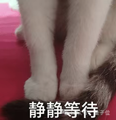 停滞50年的计算机理论僵局被打破!少量内存 可节省大量计算时间插图7 停滞50年的计算机理论僵局被打破!少量内存 可节省大量计算时间