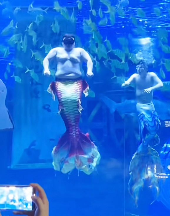游泳真能减肥！海底世界胖人鱼表演3个月瘦了6斤