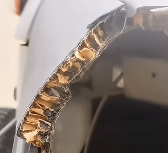 福特烈马品牌方回应用纸填充车顶：增强纸蜂窝材料、系高强度结构