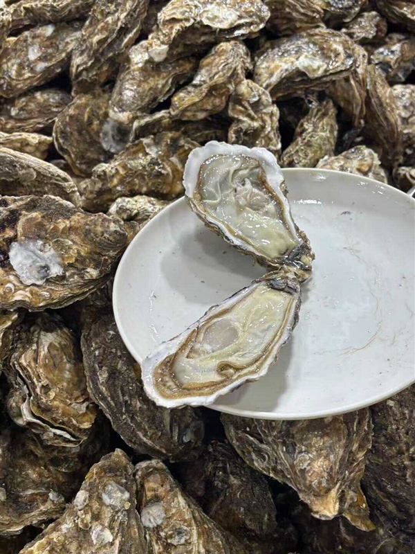 抢微波炉热饭 是打工人的世界大战