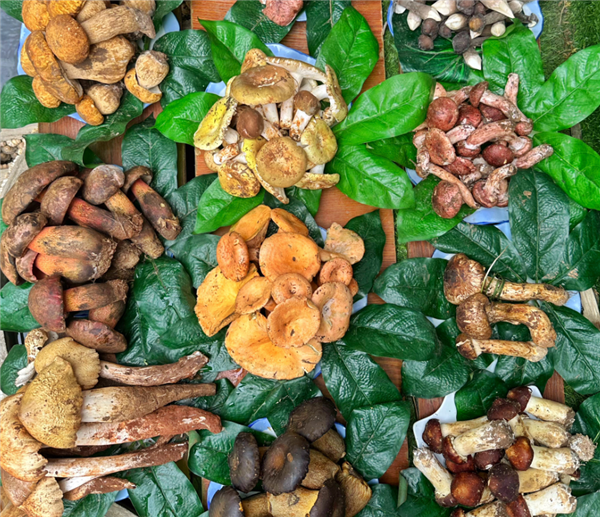 抢微波炉热饭 是打工人的世界大战