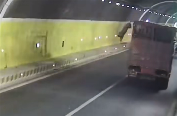 “二师兄”高速上越狱却被后车当场撞死：拉猪司机提全责