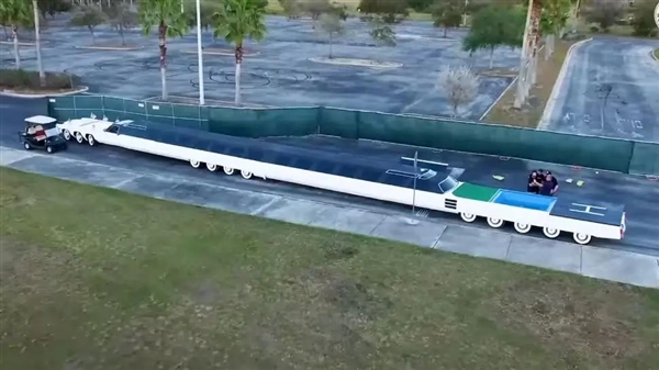 原来失去整条尾巴的鳄鱼 这么狗里狗气!插图5 原来失去整条尾巴的鳄鱼 这么狗里狗气!