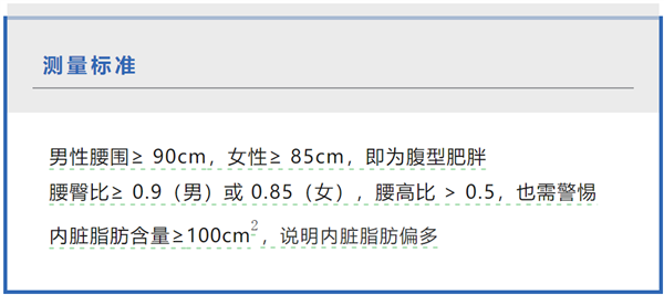 肚子上的肉越来越多了 但小心你的脑子可能越来越小了！