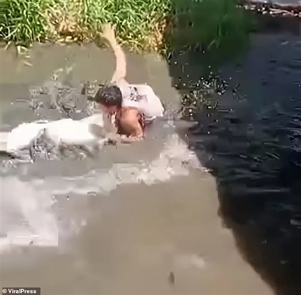 翻鳄鱼围栏自拍游客险被撕碎！愚蠢决定竟是因为：我以为它是雕像