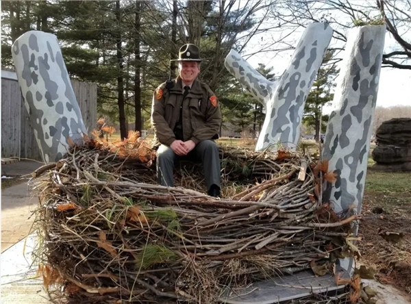 30年房龄的鸟巢被“强拆”：从麦当劳外包装到口罩 垃圾层层堆叠