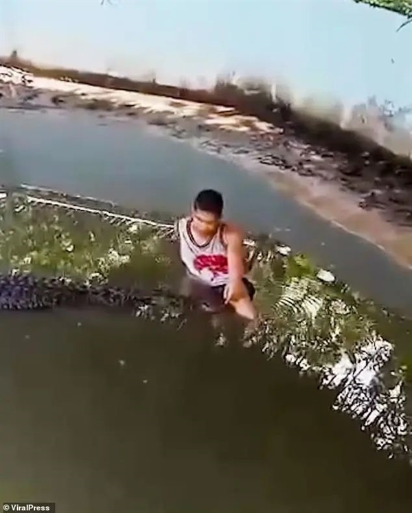 翻鳄鱼围栏自拍游客险被撕碎！愚蠢决定竟是因为：我以为它是雕像