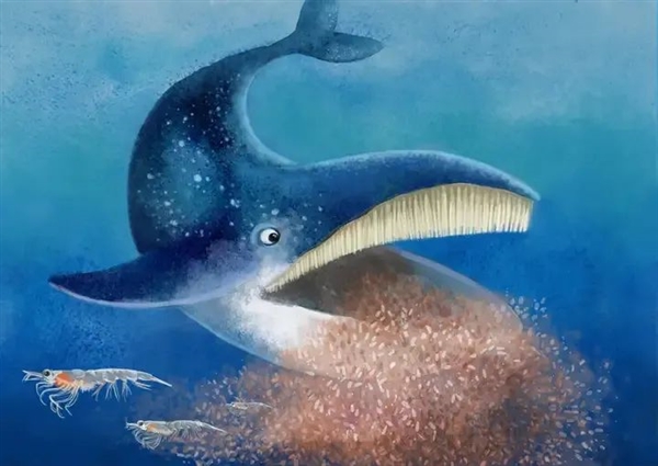 一个濒危物种消失 释放的资源能让其它100个物种活得更好