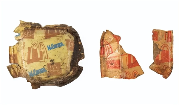 30年房龄的鸟巢被“强拆”：从麦当劳外包装到口罩 垃圾层层堆叠