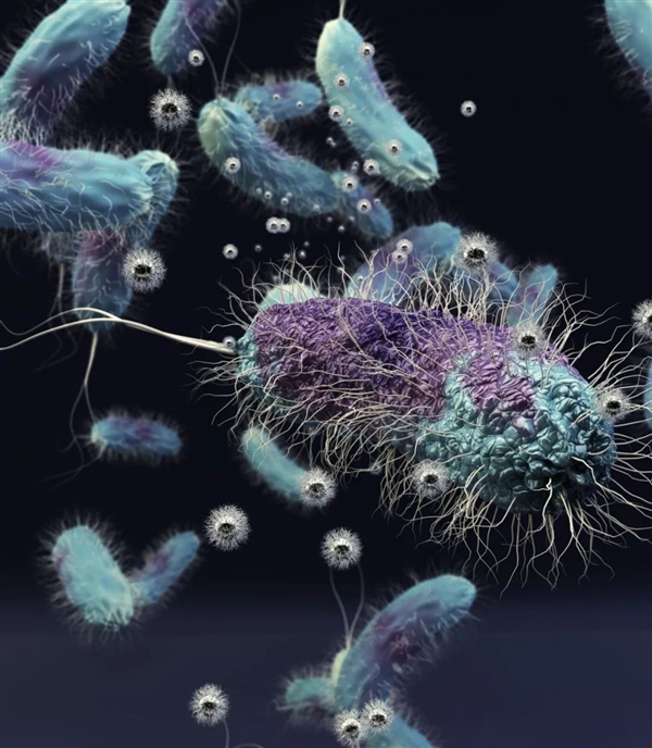 一次温泉鱼疗后 女子不得不截肢！吃死皮的小鱼太恐怖了