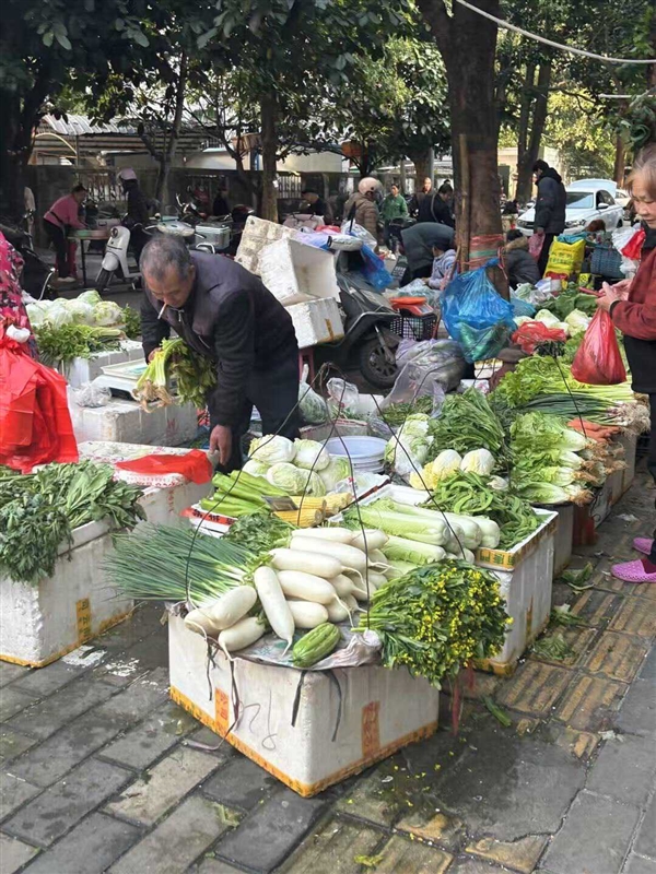 抢微波炉热饭 是打工人的世界大战