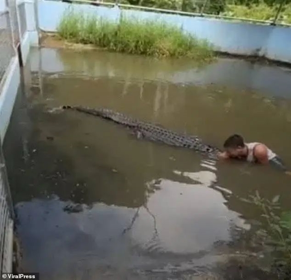 翻鳄鱼围栏自拍游客险被撕碎！愚蠢决定竟是因为：我以为它是雕像