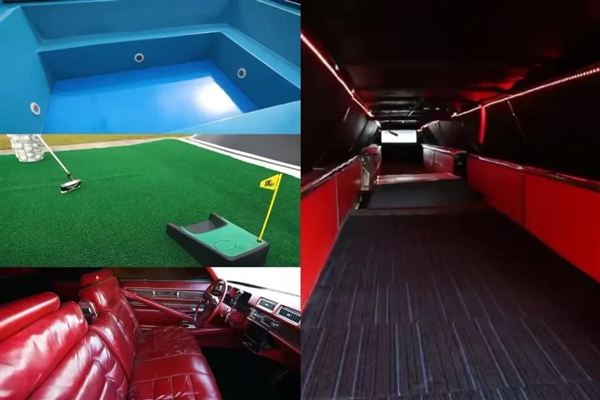 原来失去整条尾巴的鳄鱼 这么狗里狗气!插图7 原来失去整条尾巴的鳄鱼 这么狗里狗气!