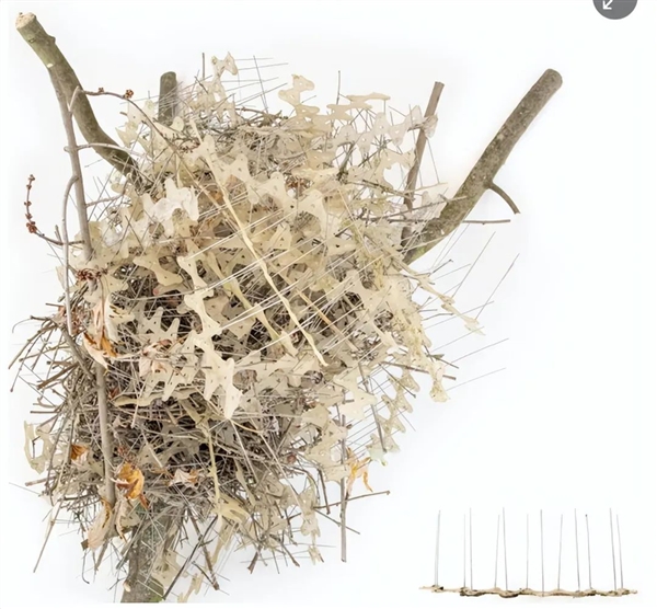 30年房龄的鸟巢被“强拆”：从麦当劳外包装到口罩 垃圾层层堆叠