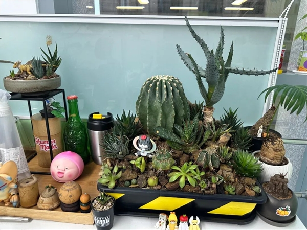 上班期间不会高效休息 就亏大了！这3类人尤其注意