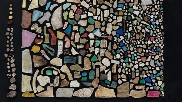 原来失去整条尾巴的鳄鱼 这么狗里狗气!插图3 原来失去整条尾巴的鳄鱼 这么狗里狗气!