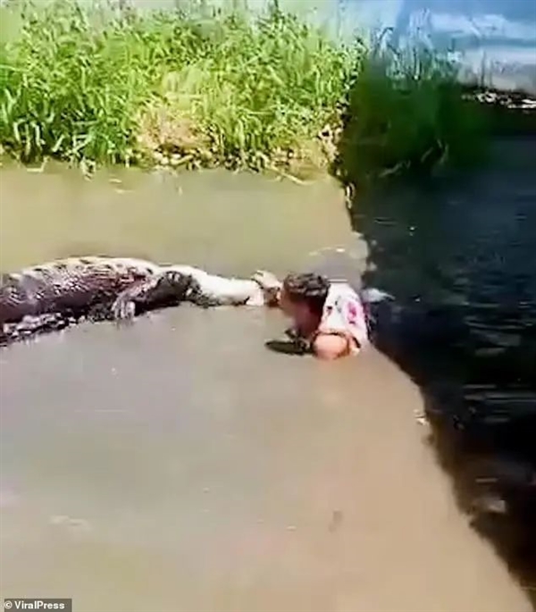 翻鳄鱼围栏自拍游客险被撕碎！愚蠢决定竟是因为：我以为它是雕像