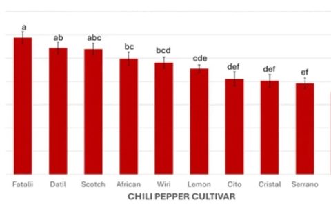 喜报！怕辣的人有救了：科学家在辣椒中找到了“防辣物质”