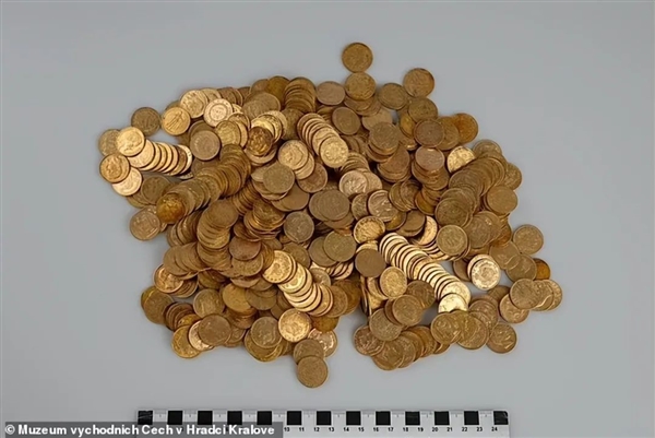 7公斤黄金宝藏估值达242万！发现者将获得10%奖金