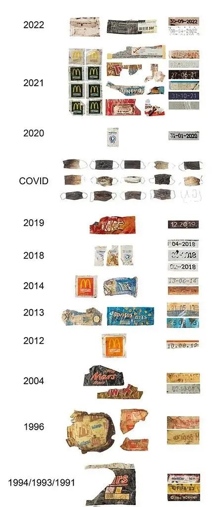 30年房龄的鸟巢被“强拆”：从麦当劳外包装到口罩 垃圾层层堆叠