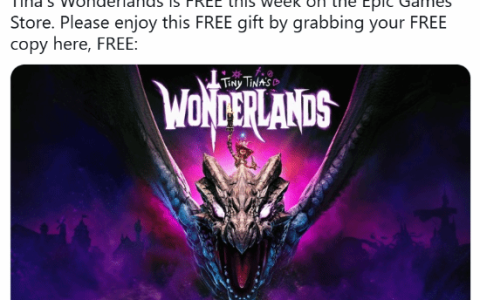 《无主之地》CEO再惹众怒！阴阳怪气粉丝