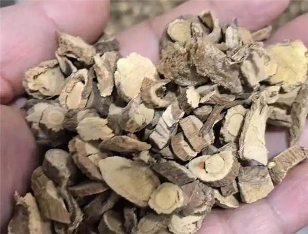 男子煎服15克山豆根中毒 医生:不能盲目相信偏方插图 男子煎服15克山豆根中毒 医生:不能盲目相信偏方