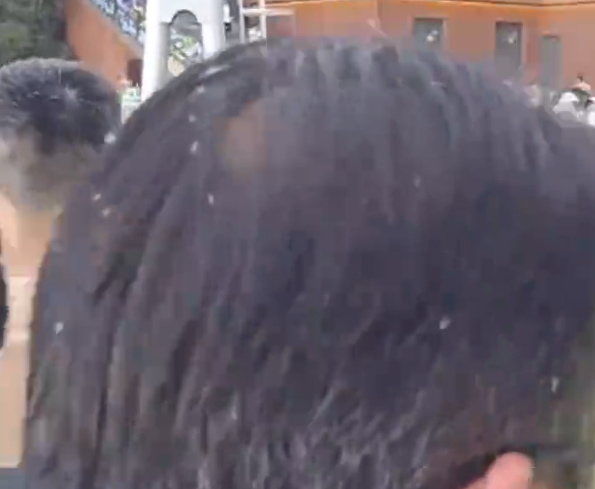 陕西一景区大量虫子往游客脖子里钻：天气原因 已处理