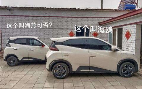 路上惊现比亚迪海鸥高仿老头乐：车标“BYC” 外观、内饰几乎一模一样