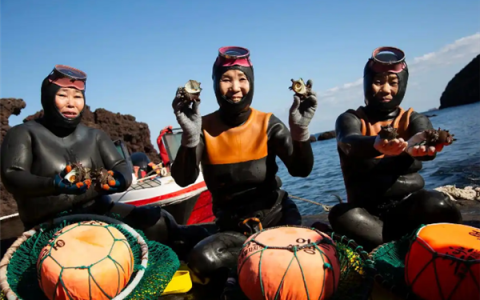 济州岛海女长年潜水让后代进化出“超能力”：更耐寒、血压更低