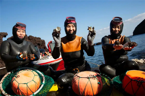 济州岛海女长年潜水让后代进化出“超能力”：更耐寒、血压更低