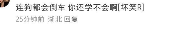 驾校“狗教练”指导学员练习科目二 它站在哪里学员就往哪边看点
