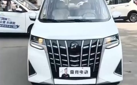 看懵了！老头乐的魔爪已经伸到埃尔法 网友：应该叫爱儿发