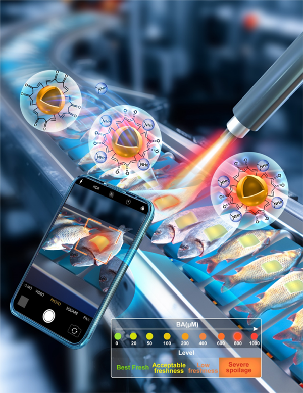 “贴一贴”就能知道食品新鲜度的新技术！贴片还可以重复利用