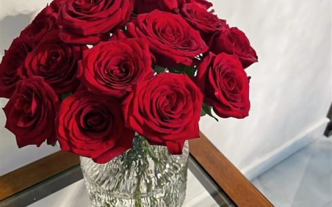 520浪漫互动需留意：个人信息要保密