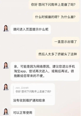闪购崩了！淘宝客服回应：访问较多建议退出app重进