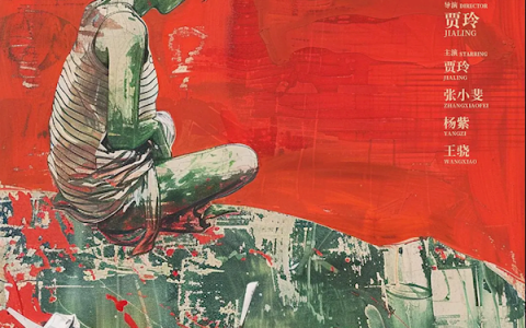 贾玲导演新作《转念花开》来了：家庭主妇破获传销大案