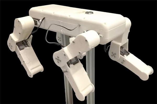 新型两栖四足机器狗问世：仿生狗刨式游泳