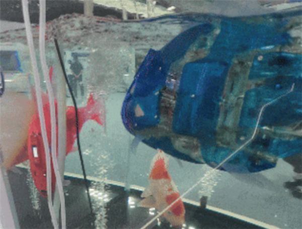 智能仿生鱼已投入长江保护：模仿鱼类游动 进行生态数据采集