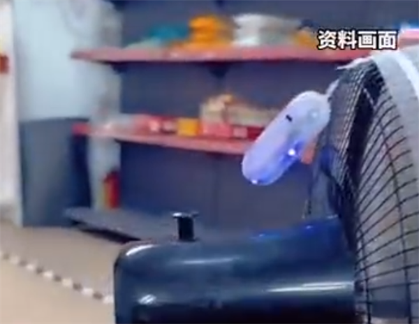 低成本高效灭蚊！女子自制捕蚊器5小时抓五六十只蚊子