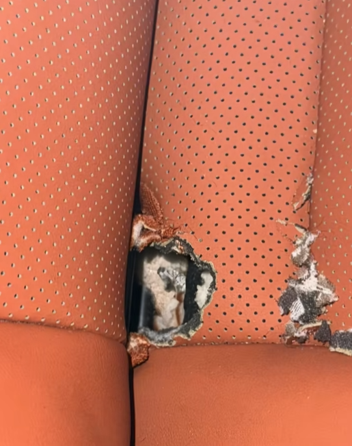 一个悲伤的故事！理想L8车里跑进了只老鼠 几千块的座椅惨遭鼠嘴