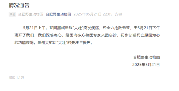 网红国字脸猴子去世 合肥野生动物园通报：心肺功能衰竭