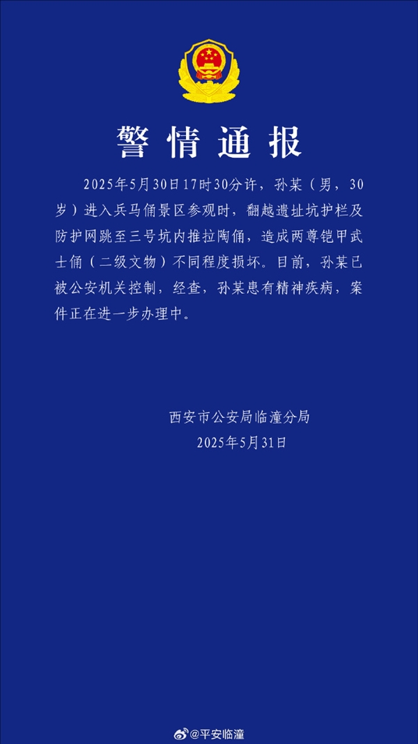 官方通报男子跳至兵马俑三号坑：造成二级文物两尊铠甲武士俑损坏