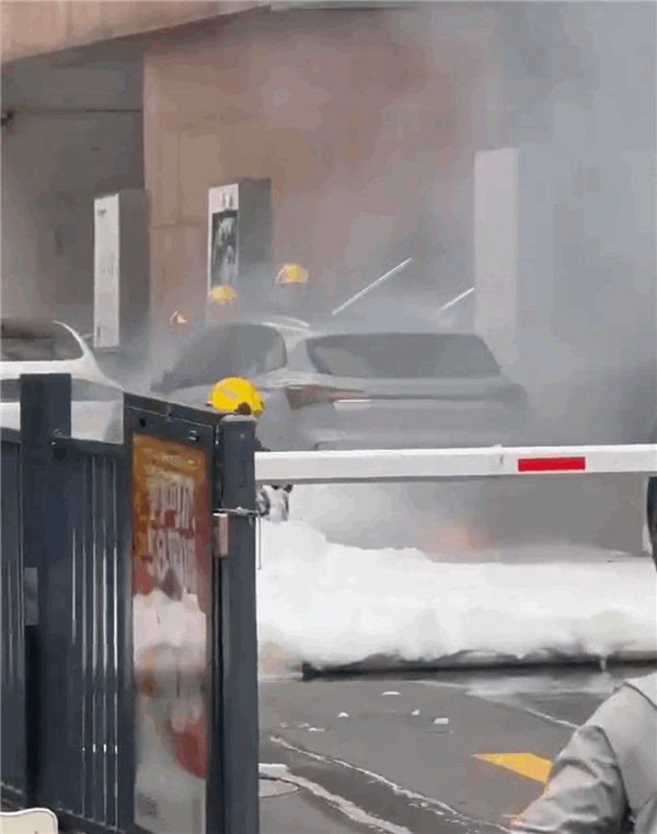 飞凡MARVEL R路边起火 消防员建水池把车泡水里灭火